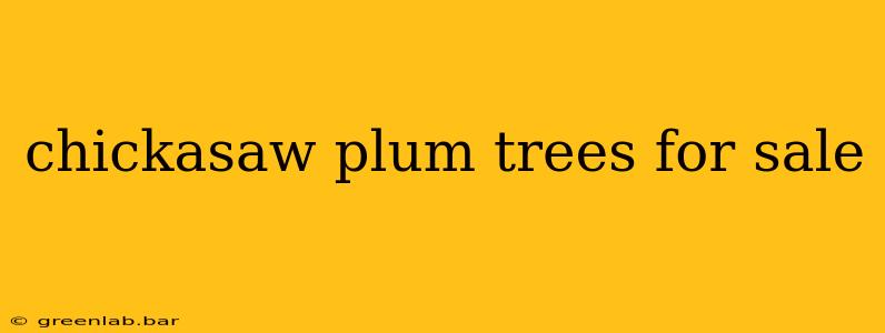 chickasaw plum trees for sale