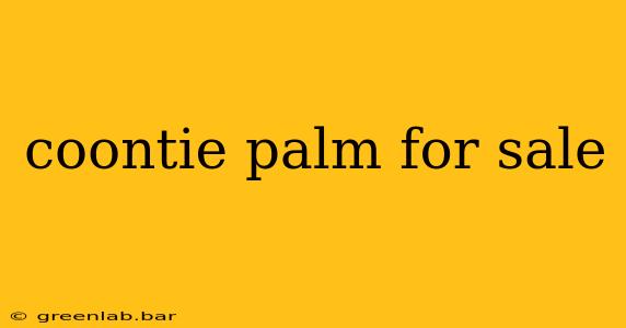 coontie palm for sale