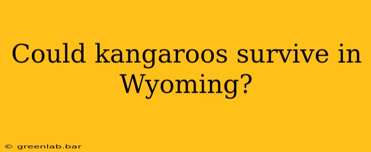 Could kangaroos survive in Wyoming?