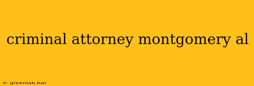 criminal attorney montgomery al