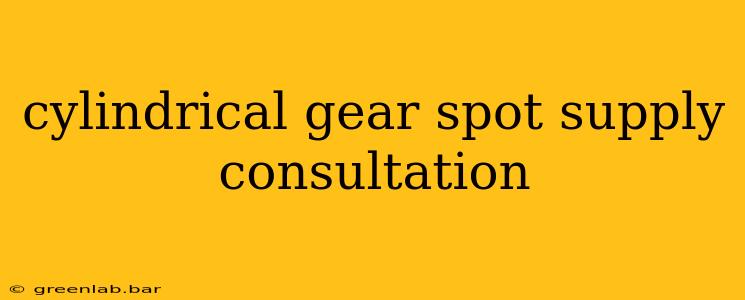 cylindrical gear spot supply consultation