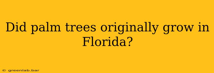 Did palm trees originally grow in Florida?