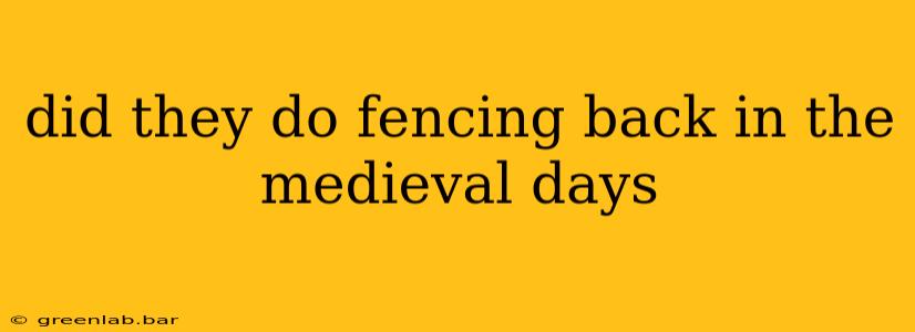 did they do fencing back in the medieval days