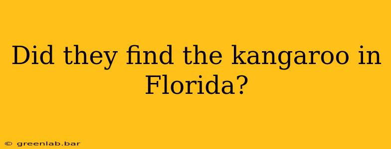 Did they find the kangaroo in Florida?