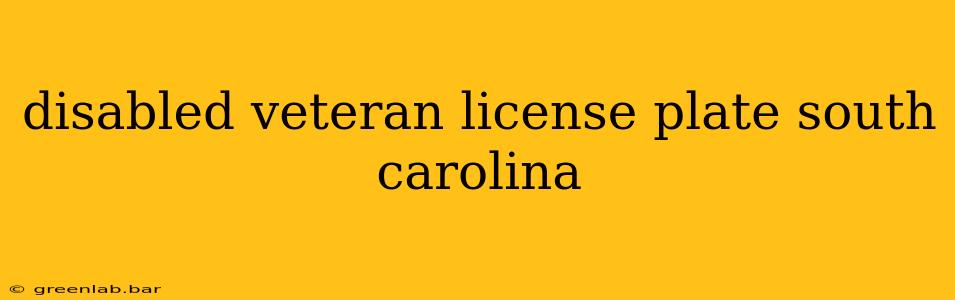 disabled veteran license plate south carolina