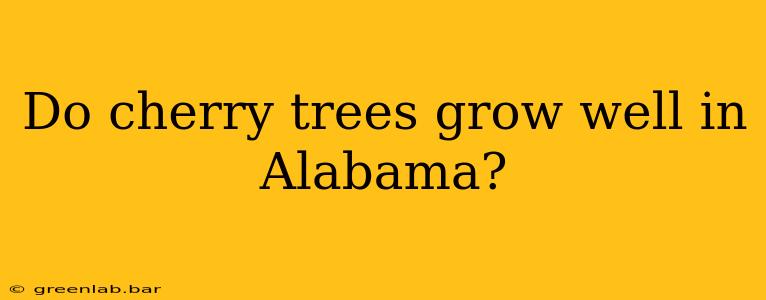 Do cherry trees grow well in Alabama?