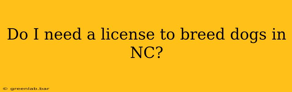 Do I need a license to breed dogs in NC?