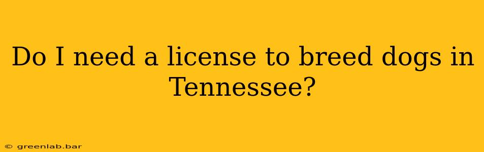 Do I need a license to breed dogs in Tennessee?