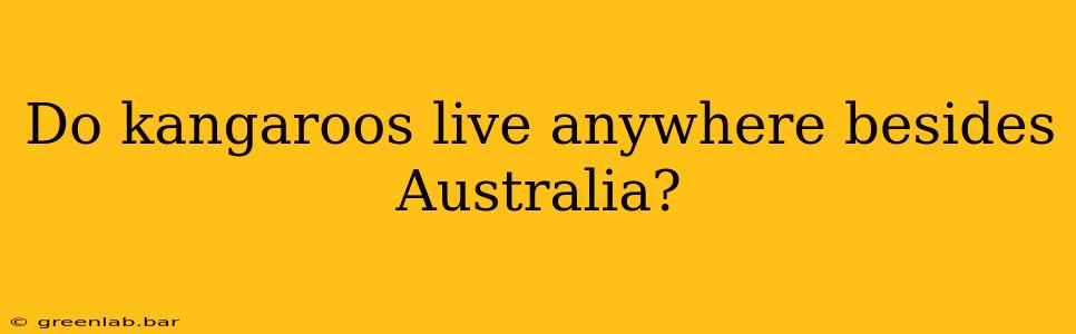 Do kangaroos live anywhere besides Australia?