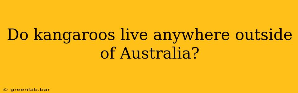 Do kangaroos live anywhere outside of Australia?