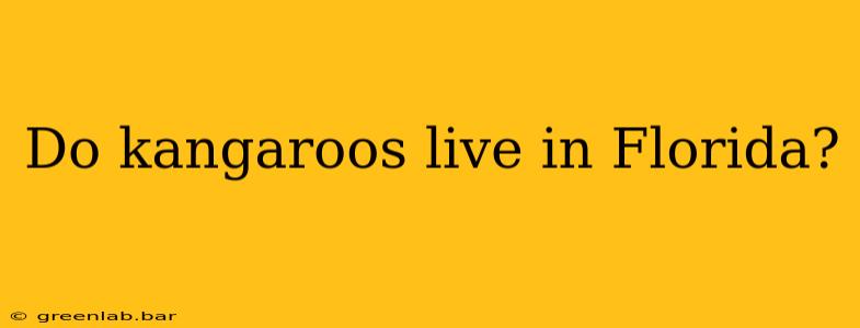 Do kangaroos live in Florida?