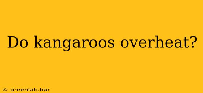 Do kangaroos overheat?