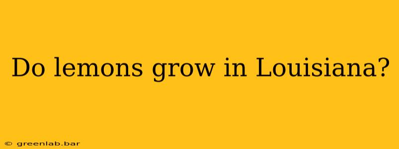 Do lemons grow in Louisiana?