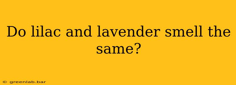 Do lilac and lavender smell the same?