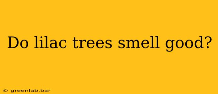 Do lilac trees smell good?