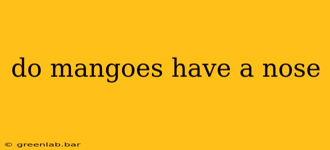 do mangoes have a nose