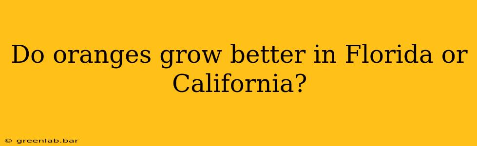 Do oranges grow better in Florida or California?