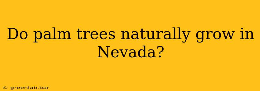 Do palm trees naturally grow in Nevada?