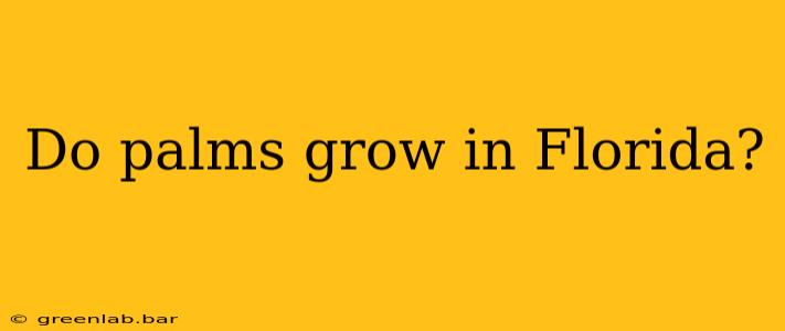 Do palms grow in Florida?