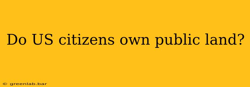 Do US citizens own public land?