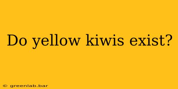 Do yellow kiwis exist?