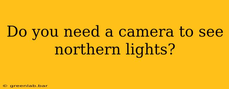 Do you need a camera to see northern lights?