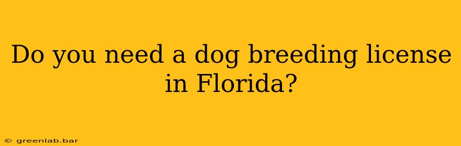 Do you need a dog breeding license in Florida?