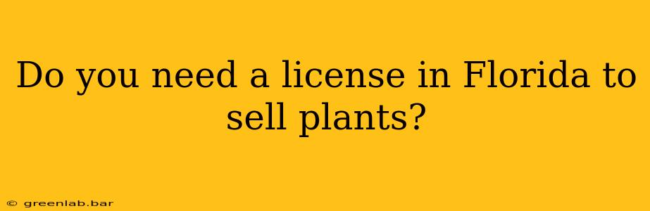 Do you need a license in Florida to sell plants?