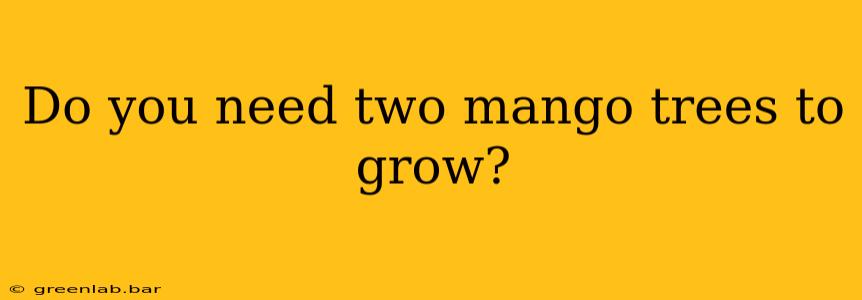 Do you need two mango trees to grow?