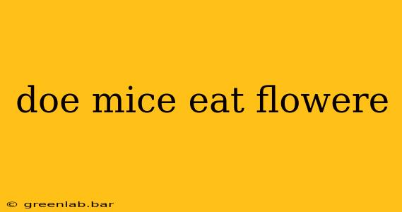 doe mice eat flowere