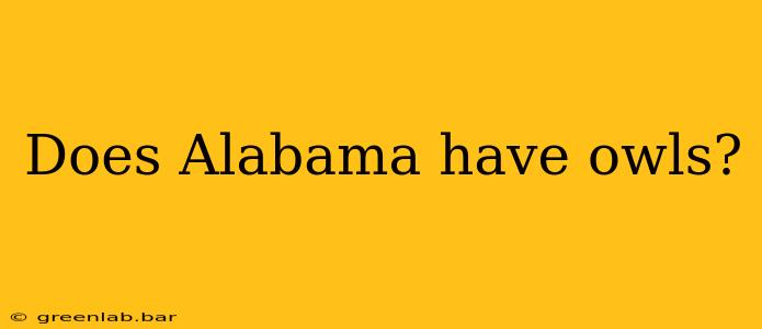 Does Alabama have owls?