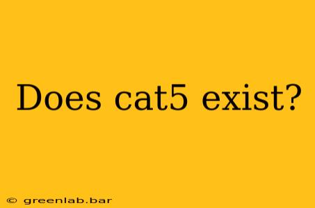 Does cat5 exist?