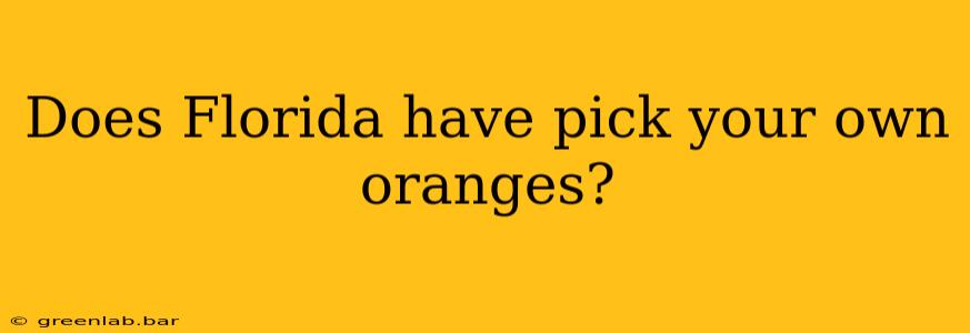 Does Florida have pick your own oranges?