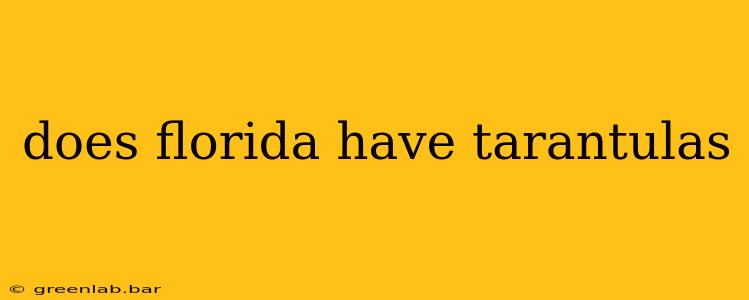 does florida have tarantulas