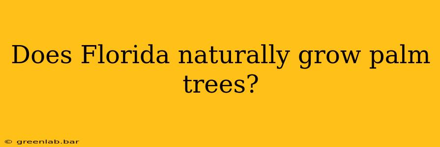 Does Florida naturally grow palm trees?