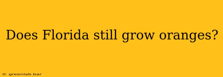 Does Florida still grow oranges?