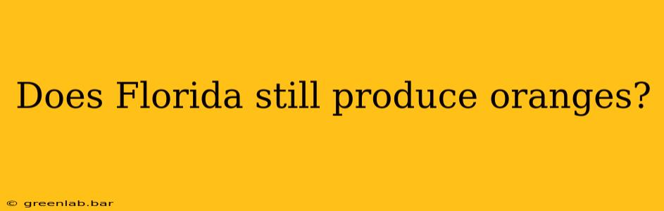 Does Florida still produce oranges?