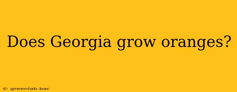 Does Georgia grow oranges?