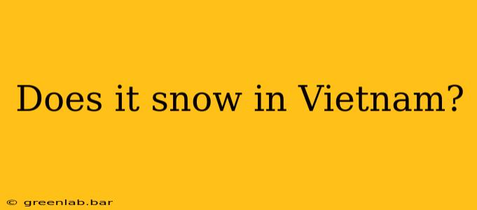 Does it snow in Vietnam?