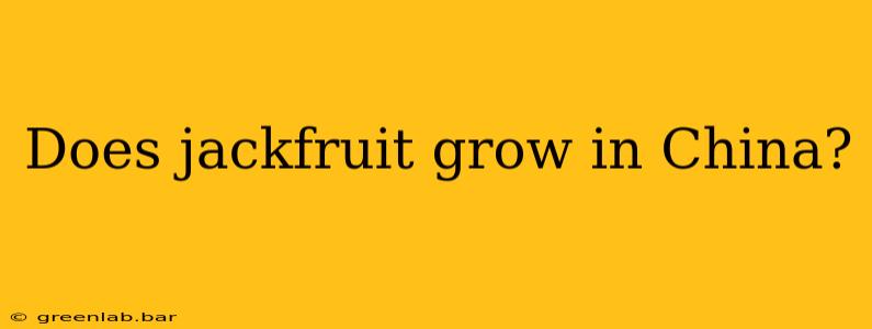 Does jackfruit grow in China?