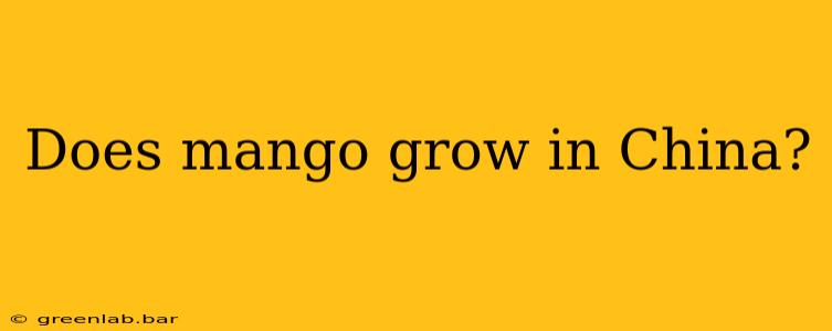 Does mango grow in China?