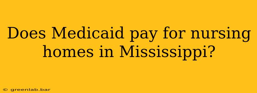 Does Medicaid pay for nursing homes in Mississippi?