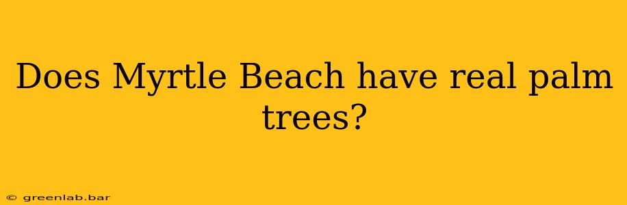 Does Myrtle Beach have real palm trees?