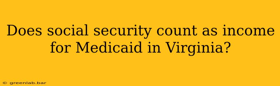 Does social security count as income for Medicaid in Virginia?