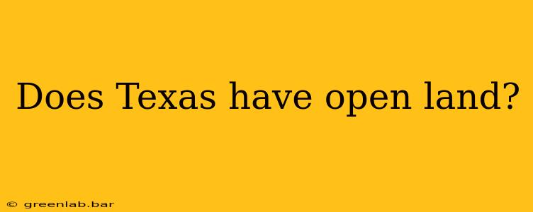 Does Texas have open land?