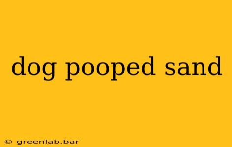 dog pooped sand