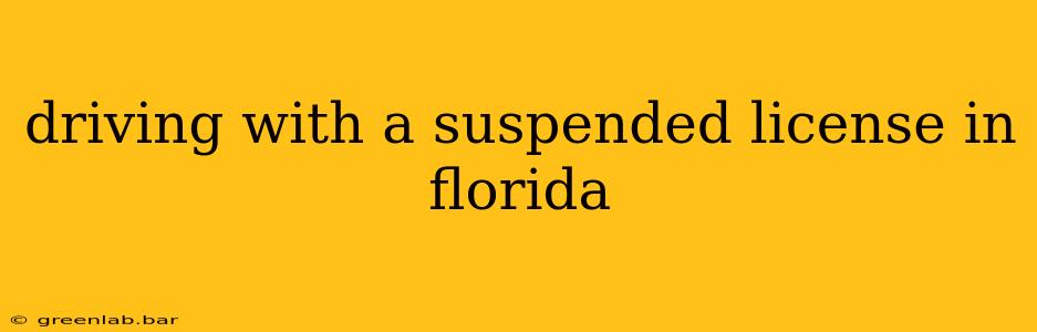 driving with a suspended license in florida