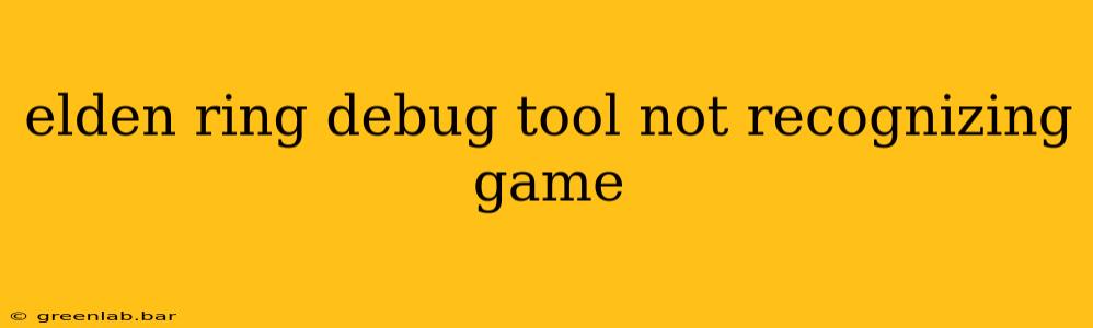 elden ring debug tool not recognizing game