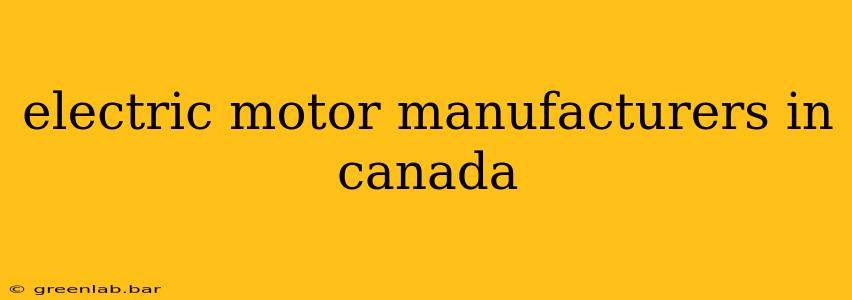 electric motor manufacturers in canada