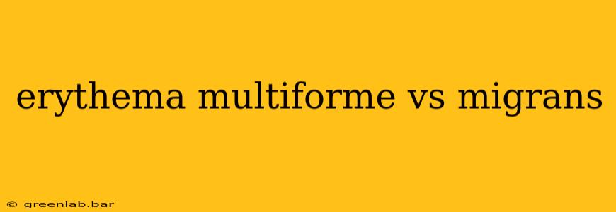 erythema multiforme vs migrans